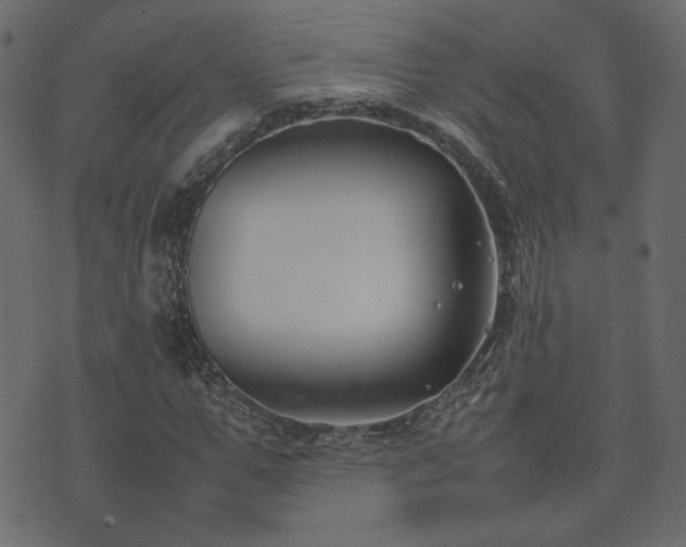 X0000074310967200608251231