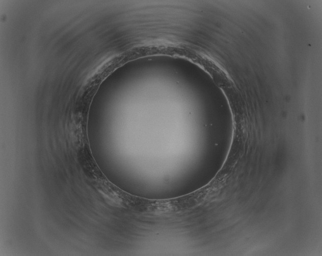 X0000074310968200608251231