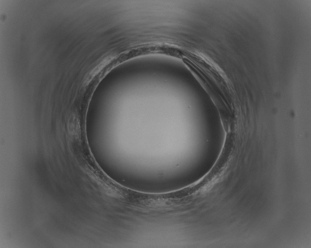 X0000074310969200608251231