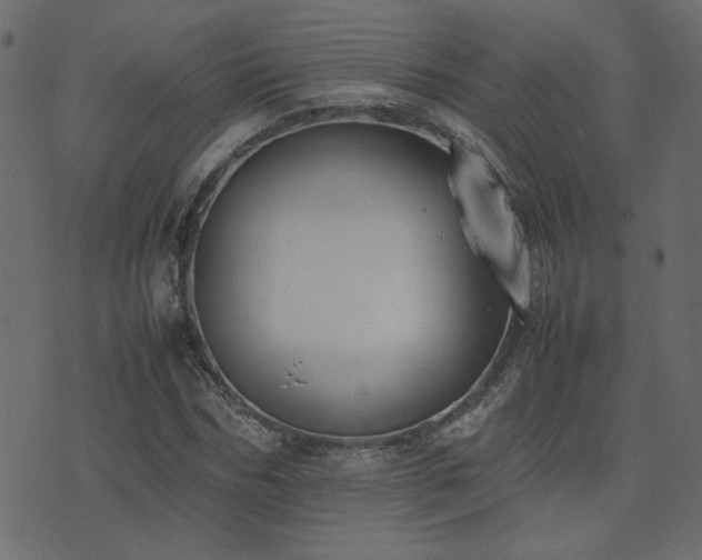 X0000074310970200608251231