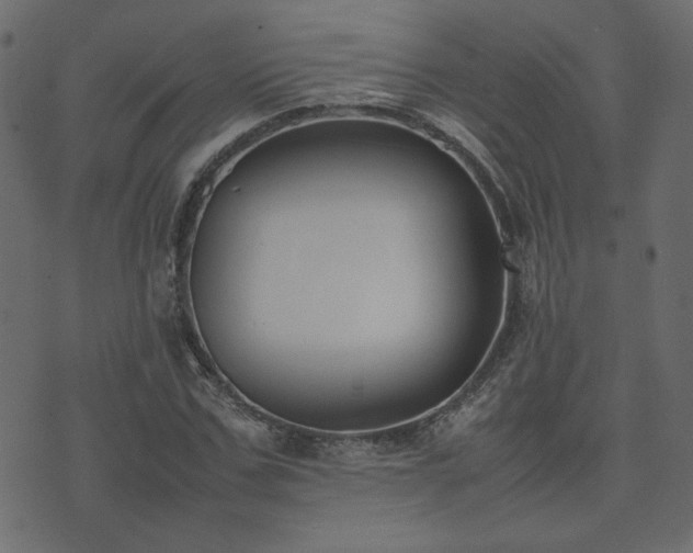 X0000074310971200608251231