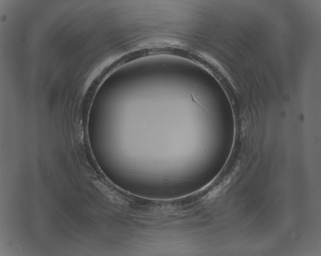 X0000074310973200608251231