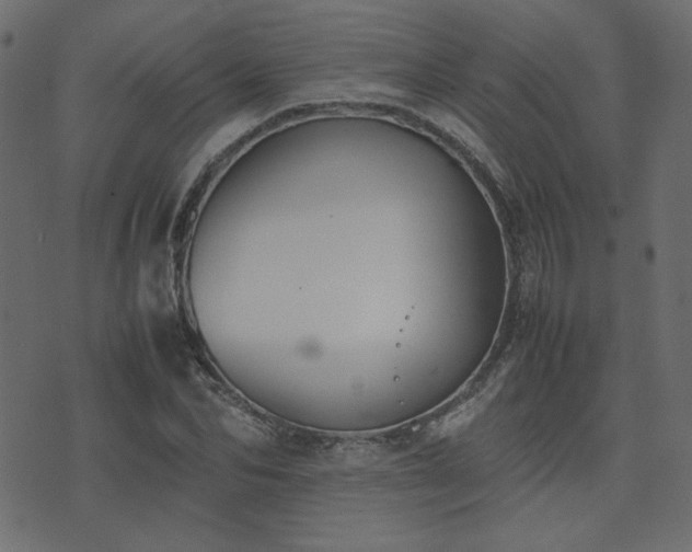 X0000074310974200608251231