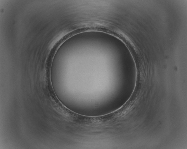 X0000074310975200608251231