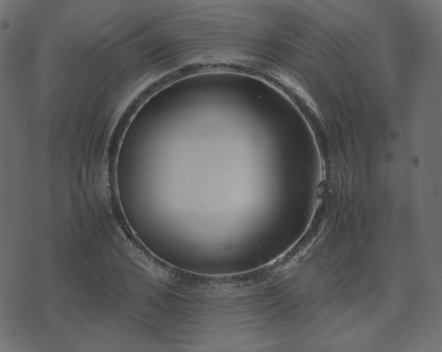 X0000074310976200608251231