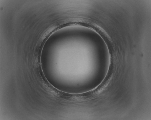 X0000074310977200608251231