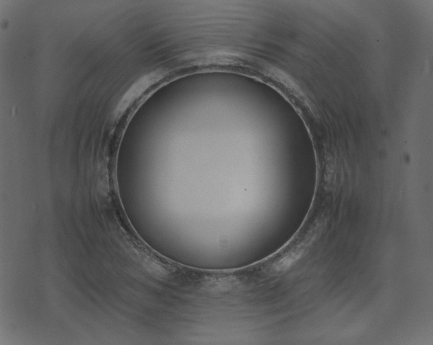 X0000074310978200608251231