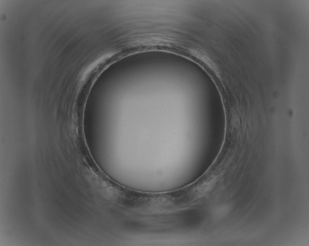 X0000074310979200608251231