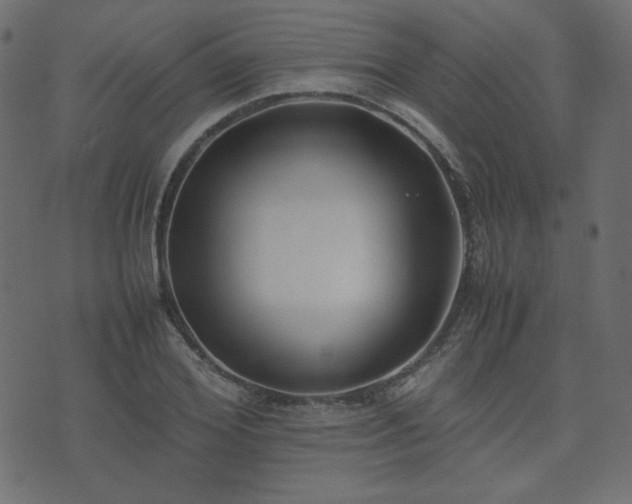 X0000074310980200608251231