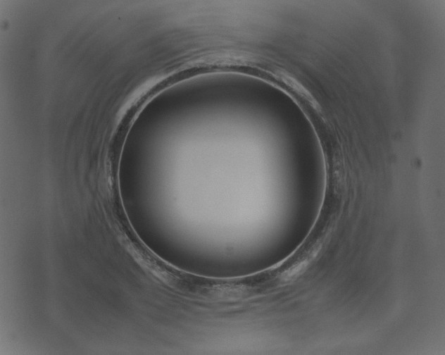 X0000074310981200608251231