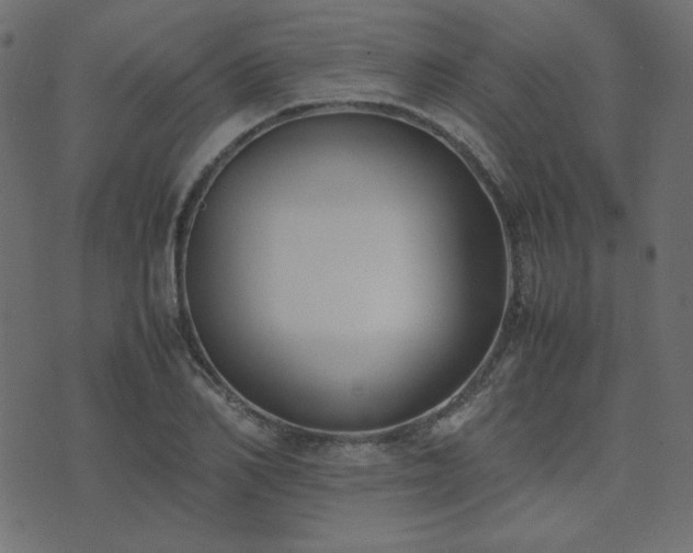 X0000074310982200608251231