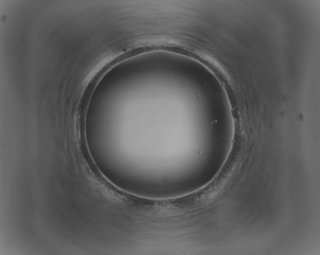 X0000074310983200608251231