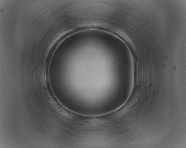 X0000074310984200608251231