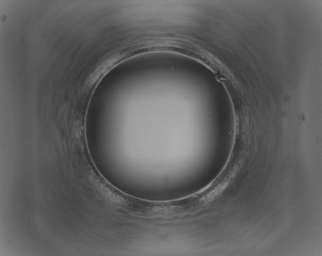 X0000074310985200608251231