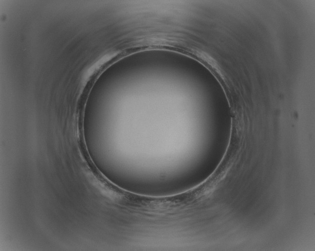 X0000074310987200608251231