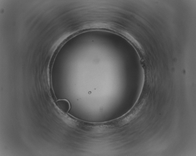 X0000074310988200608251231