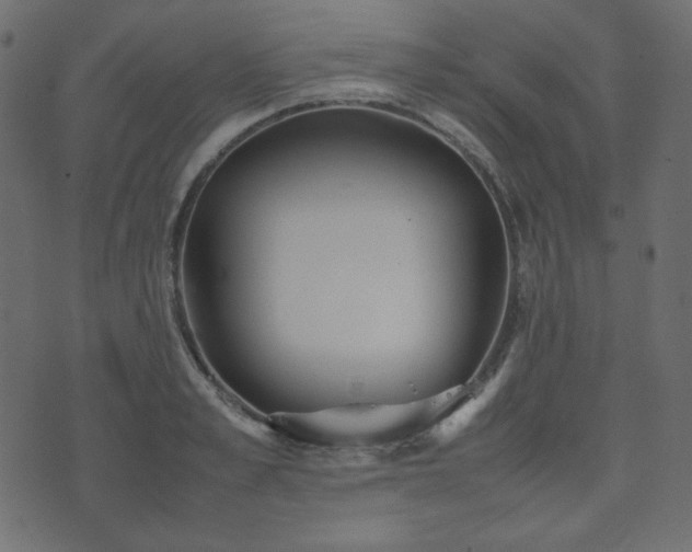 X0000074310989200608251231