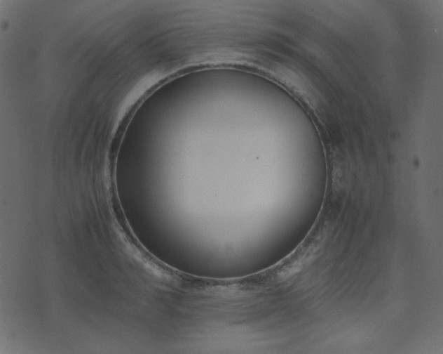 X0000074310990200608251231