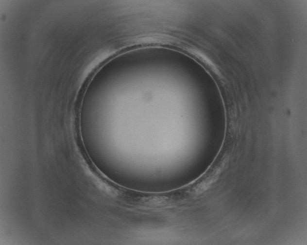 X0000074310991200608251231