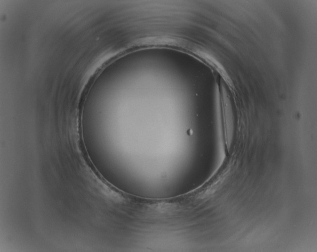 X0000074310992200608251231