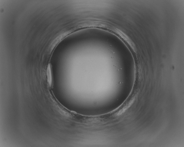 X0000074310993200608251231