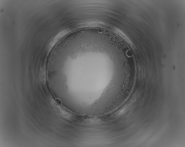 X0000074310994200608251231