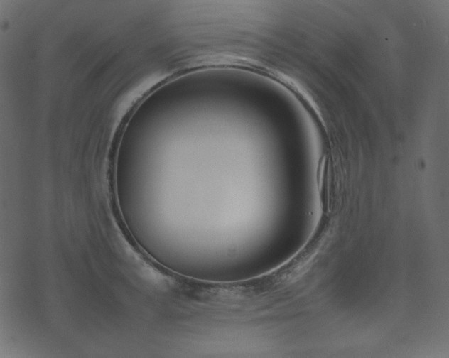 X0000074310995200608251231