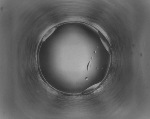 X0000074310996200608251231