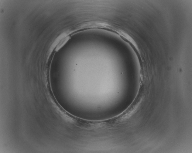 X0000074310997200608251231