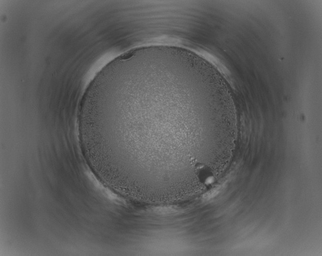 X0000074310998200608251231