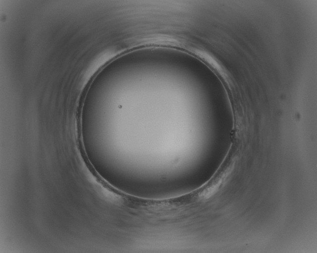 X0000074310999200608251231