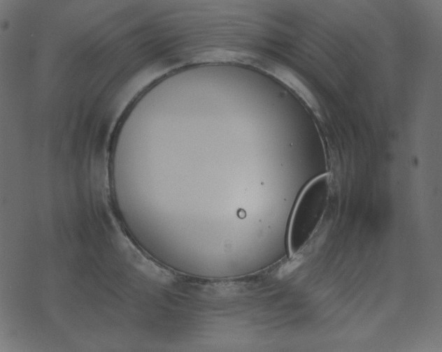 X0000074311000200608251231