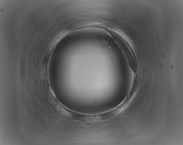 X0000074311001200608251231