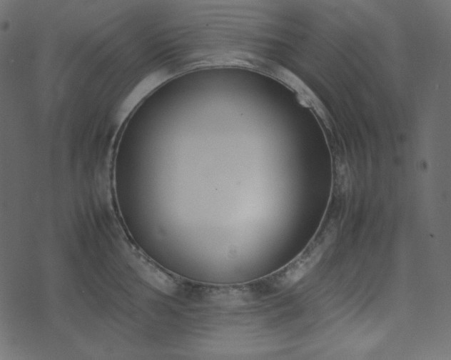 X0000074311002200608251231