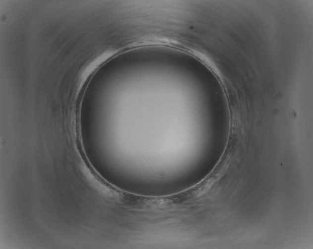 X0000074311003200608251231