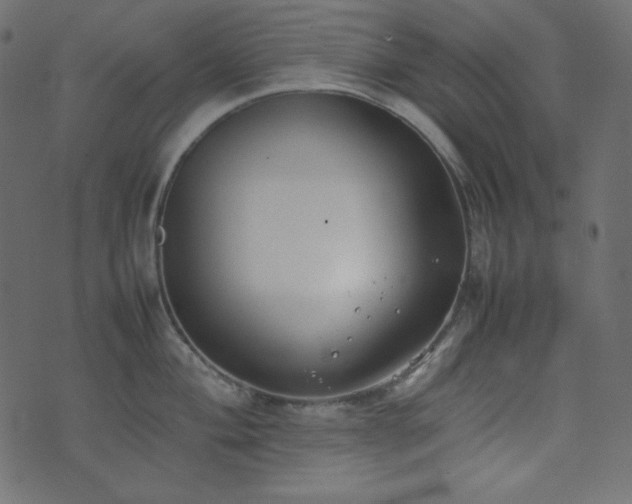 X0000074311004200608251231