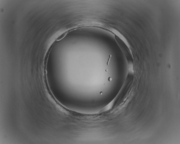 X0000074311005200608251231