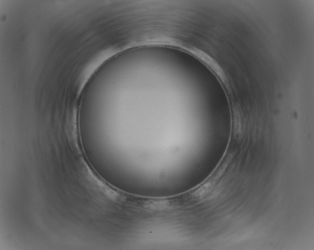 X0000074311006200608251231