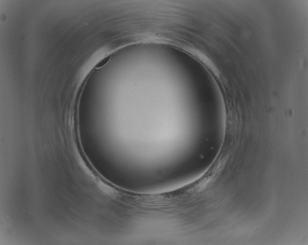 X0000074311007200608251231