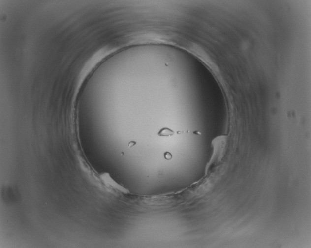 X0000074311008200608251231