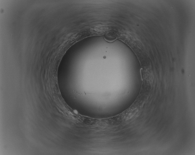 X0000074311009200608251230