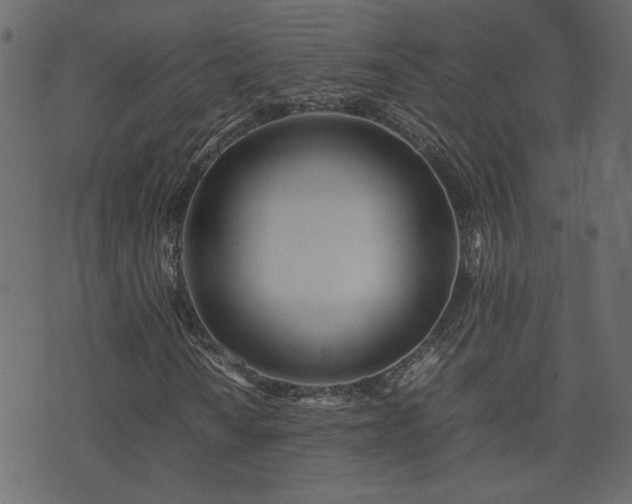X0000074311010200608251230
