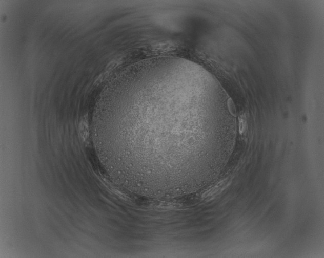 X0000074311011200608251230