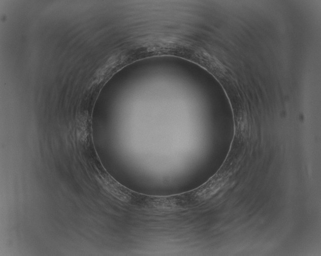 X0000074311012200608251230