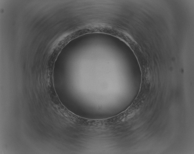 X0000074311016200608251230