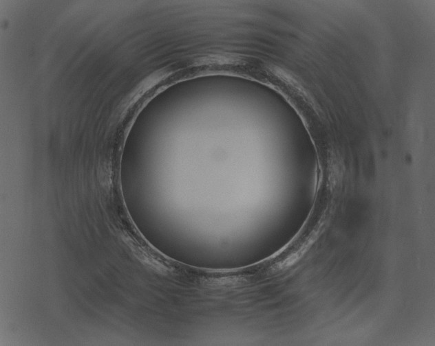 X0000074311017200608251230