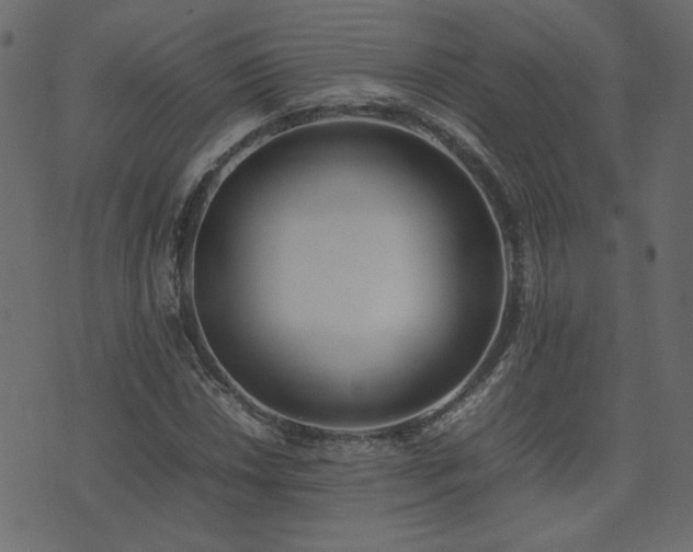 X0000074311018200608251230