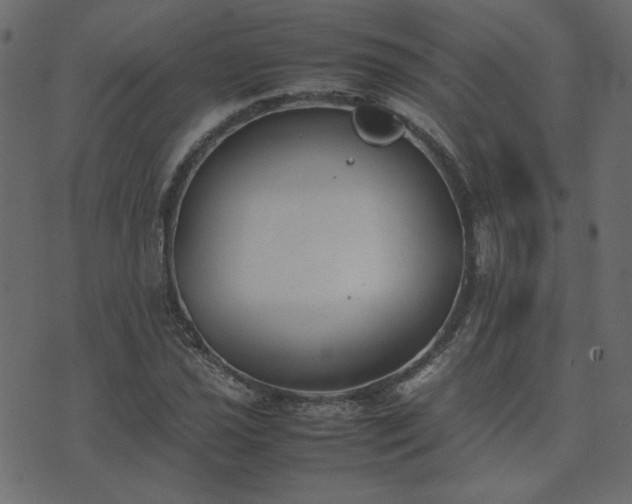 X0000074311021200608251230