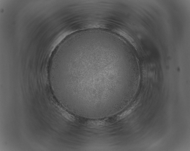 X0000074311023200608251230