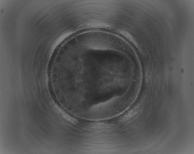 X0000074311024200608251230